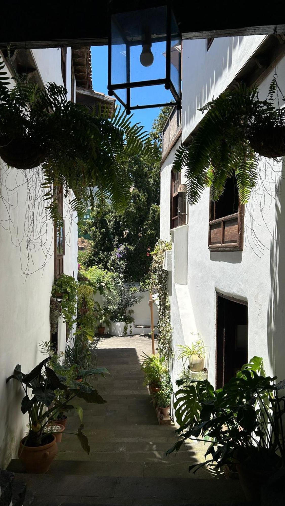 Vila Casa La Aldaba Los Realejos Exteriér fotografie